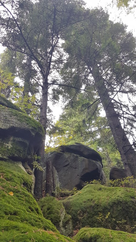 Diabli Kamień w Foluszu