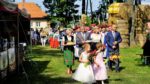 _7014220 (Średni) _7014220 (Średni)