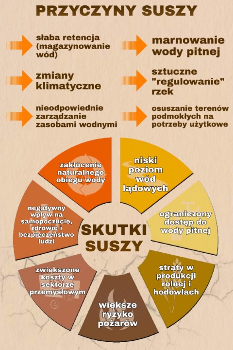 przyczyny suszy