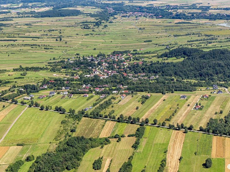 Debowiec_CBS_2020_Glovna_Krajnak_DSC_1172 (Średni)