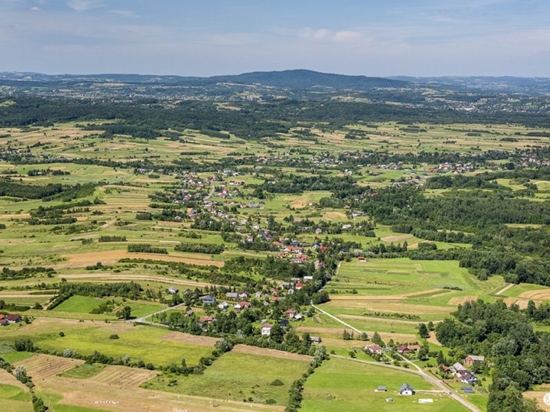 Debowiec_CBS_2020_Glovna_Krajnak_DSC_1197 (Średni)