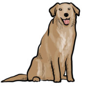 Dog_illustration
