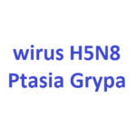 ptasia grypa wirus ptasis grypa