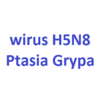 wirus ptasis grypa