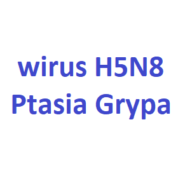 wirus ptasis grypa