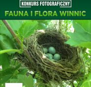 plakat fotograficzny winnice