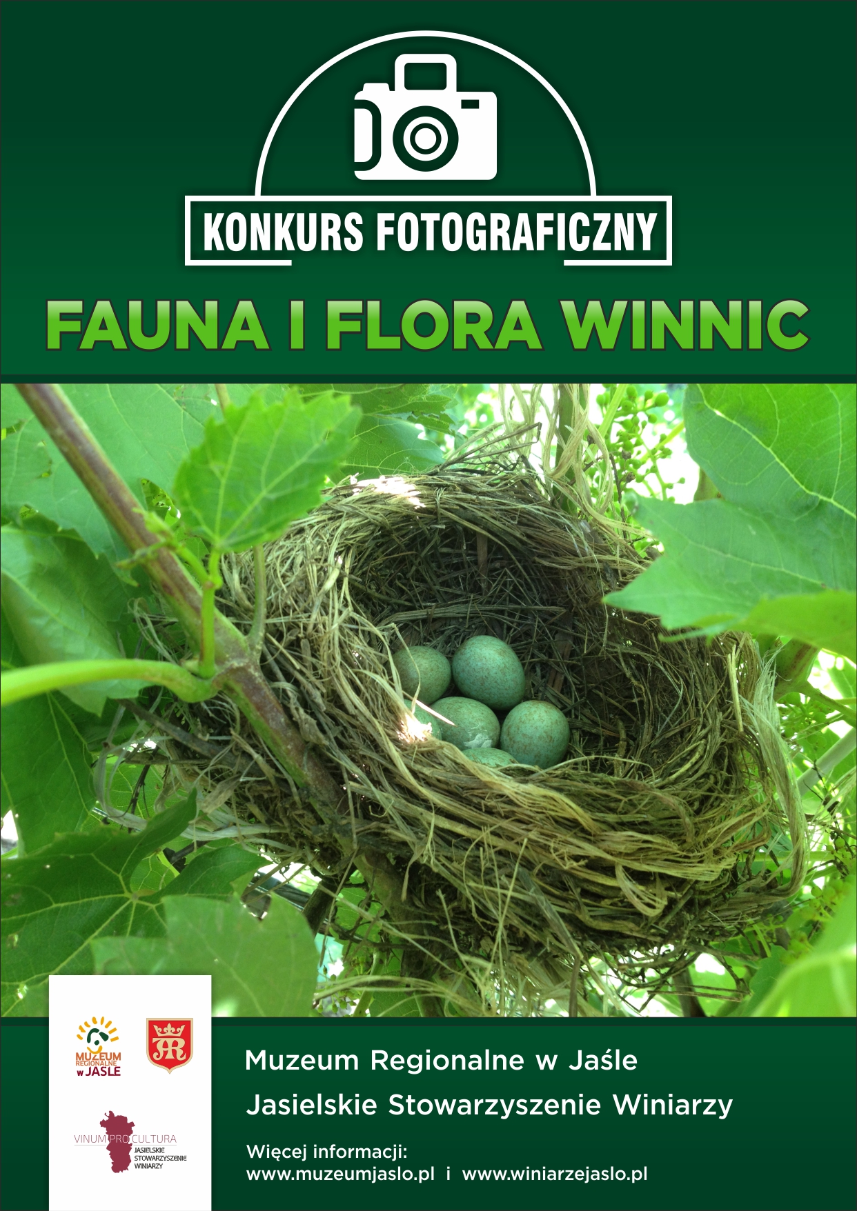 plakat fotograficzny winnice