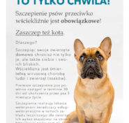 plakatSzczepienia plakatSzczepienia