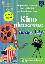 kino plenerowe23