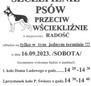 pagorek_radosc-1 pagorek_radosc-1